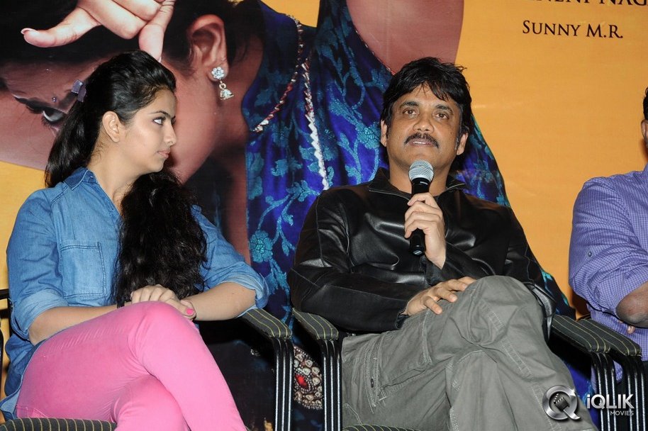 Uyyala-Jampala-Movie-Press-Meet-